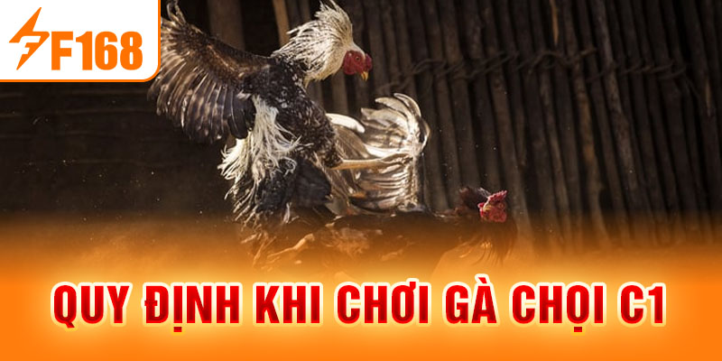 Gà Chọi C1 - Trò Chơi Cá Cược Hấp Dẫn Nhất Mọi Thời Đại Quy định khi chơi gà chọi C1